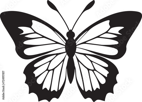 A black and white butterfly. Vector illustration for coloring pages or tattoos. An insect with wings