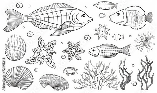 A black and white drawing of sea life