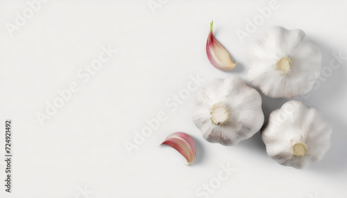 Top view fresh garlic on white background with copy space