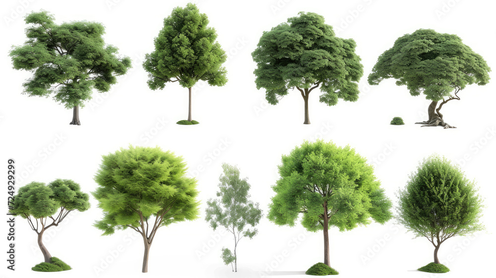 Environmental outside eco trees shapes collections isolated on transparent backgrounds 3d render png Environmental outside eco trees shapes collections isolated on transparent backgrounds 3d render png