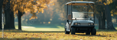 Golf cart parked on the golf course. photo