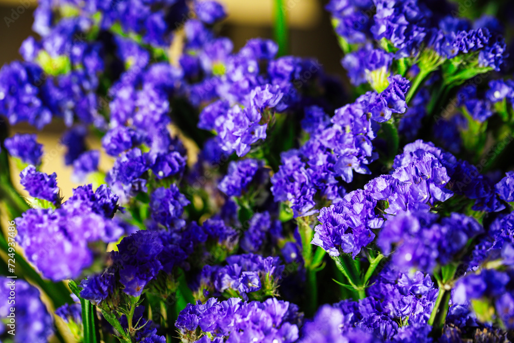 Purple Flowers in Vase, Beautiful Floral Arrangement With Copy Space Purple Flowers in Vase, Beautiful Floral Arrangement With Copy Space