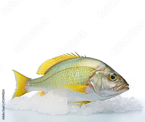 Freshly caught exotic fish on crushed ice.