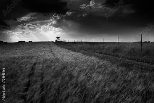 Dramatic black and white La Mancha landscape photo