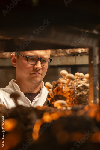 Mycologist in glasses from mushroom farm grows shiitake mushrooms Scientist holds and examines mushrooms