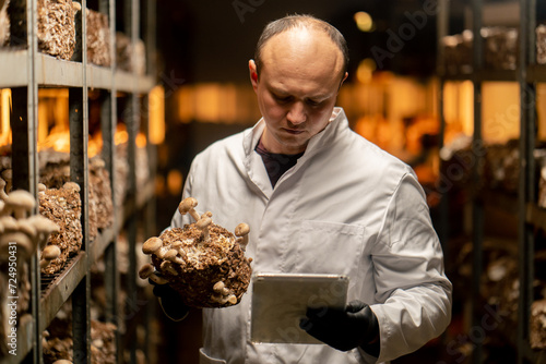 Mycologist from mushroom farm grows shiitake mushrooms Scientist in white coat holds mushrooms and tablet in hands