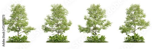 Group of trees and plants, 3D rendering, cutout with transparent background, great for illustration, composition, architecture visualization © ANDRIBENKY