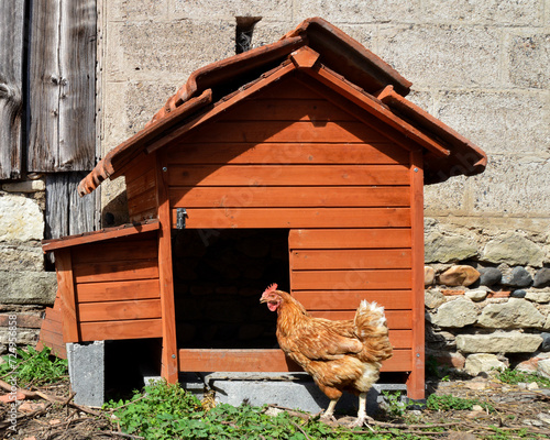 A hen house or chicken coop with a chicken in front