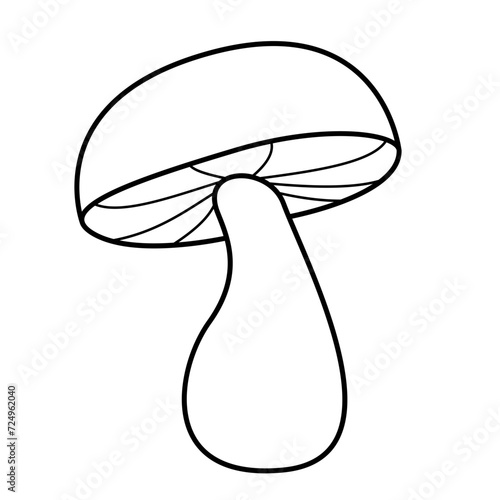 mushroom isolated on white