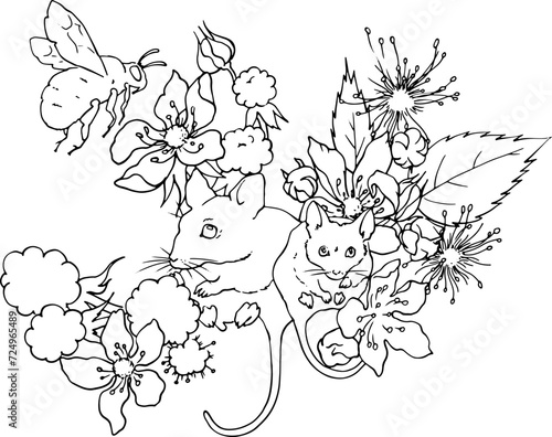 Vole mice in blackberry bushes. Blackberry flowers, leaves and berries with little mice on the branches. Vector image for coloring pages for printing, printing on dishes, packaging of sweets, cosmetic