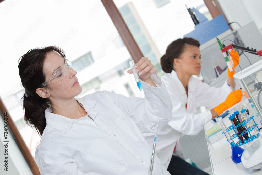 Fototapeta premium Female laboratory technicians at work