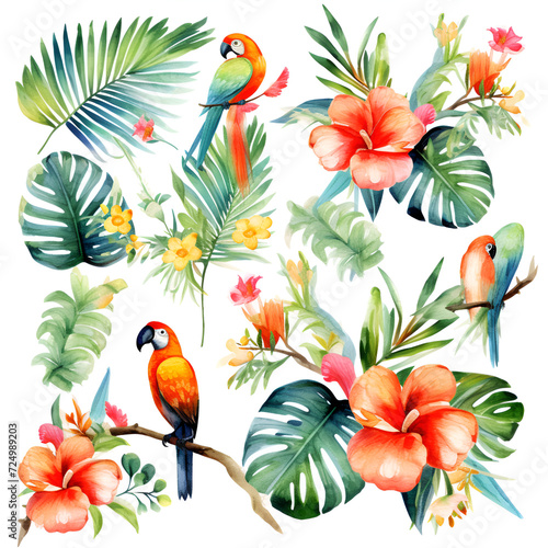 Parrot Watercolor Clipart, Colorfull Parrot Design, ai generative
