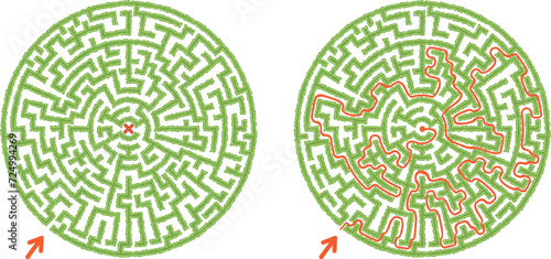 Green round hedge maze vector Illustration. Top view of the open air circular labyrinth made of garden bushes and grass. Find the way to center logic game for family isolated on white.