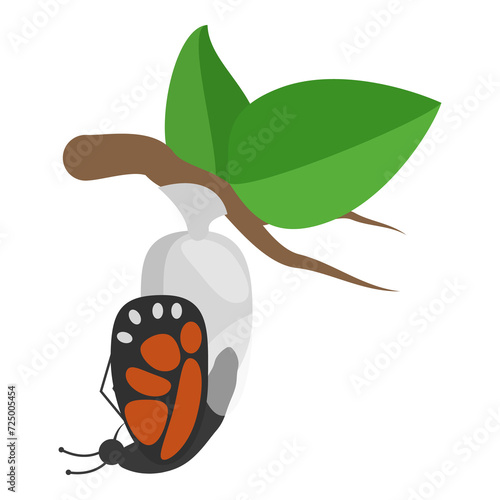 Valokuva 3D Isometric Flat  Illustration of Butterfly Metamorphosis