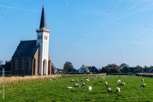 View over some of the grass land with sheep in front of the somewhat crooked white church (Witte Kerkje) the city of Den Hoorn on the island of Texel in the Netherlands  photo