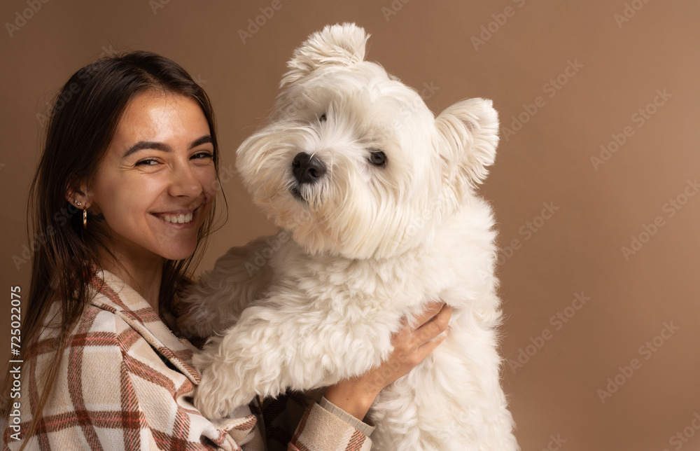 portrait of a girl with a white dog West Highland White Terrier on a brown background portrait of a girl with a white dog West Highland White Terrier on a brown background