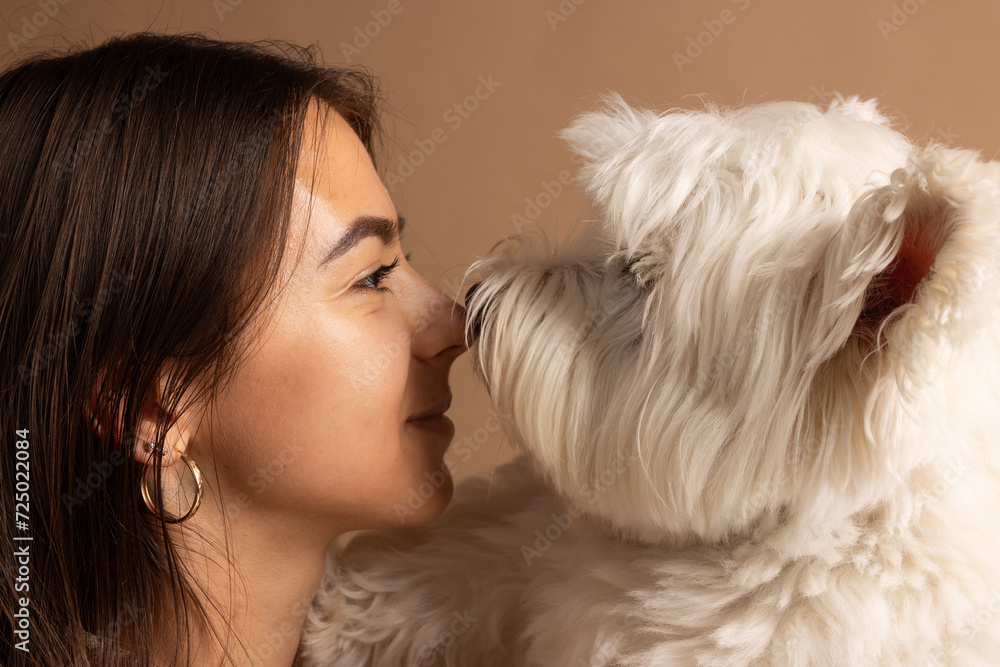 portrait of a girl with a white dog West Highland White Terrier on a brown background portrait of a girl with a white dog West Highland White Terrier on a brown background