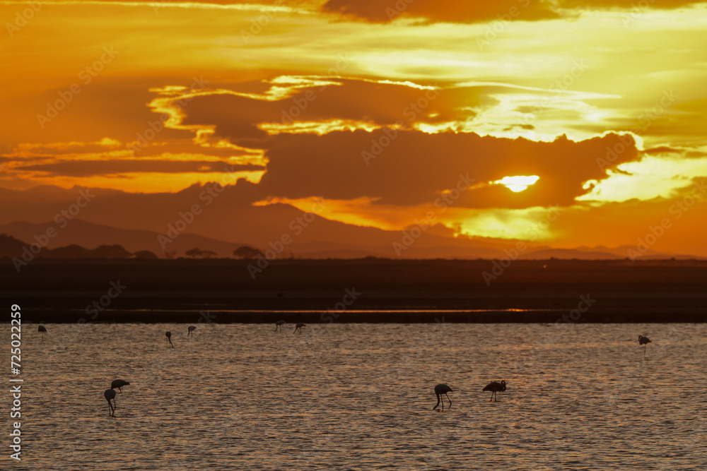 sunset time at a bird lake in Amboseli NP