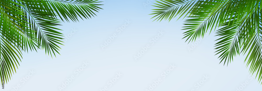 palm tree on blue background