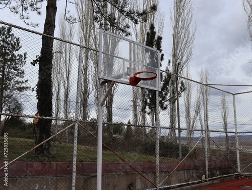 Basketball hoop and trees