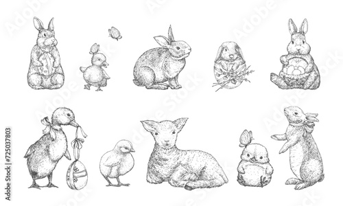 Hand Drawn Cute Spring Animals Vector Illustrations Set. Little Hare, Rabbit, Ducks Chicken and Lamb with Ribbons and Eggs Sketches Collection. Holiday Engraving Style Drawings Isolated