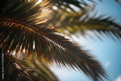 A close up view of a palm tree with a vibrant blue sky in the background. This image can be used to showcase tropical landscapes or as a symbol of relaxation and vacation photo