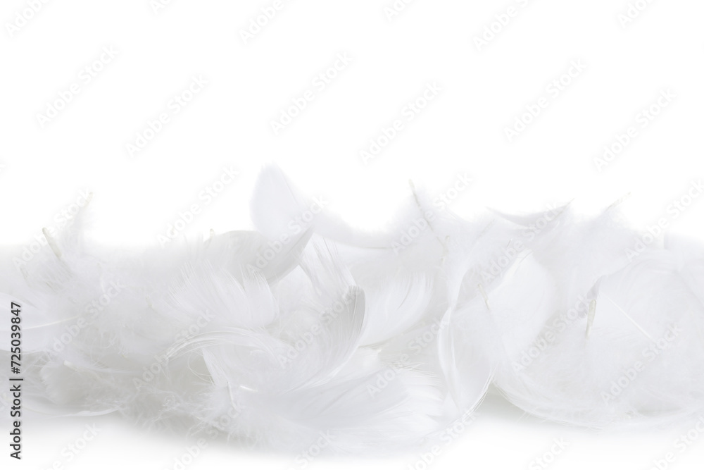 Beautiful fluffy bird feathers isolated on white Beautiful fluffy bird feathers isolated on white
