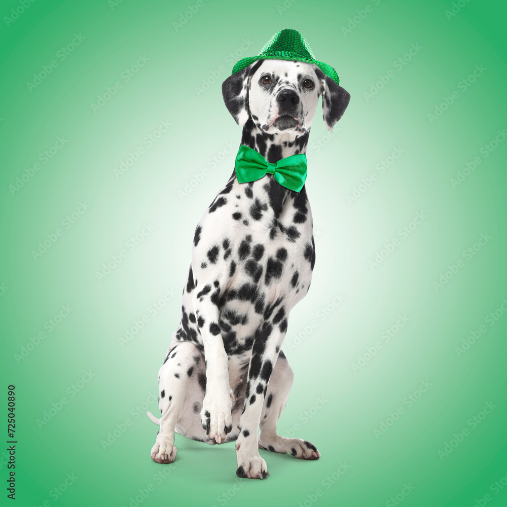 St. Patrick's day celebration. Cute Dalmatian dog with hat and bow tie on green background