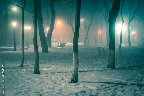 Lawn in the snow and alley of a night winter park in a fog. Footpath in a winter city park at night in fog with benches and latterns. Beautiful foggy evening in the Mariinsky Park. Kyiv, Ukraine. photo