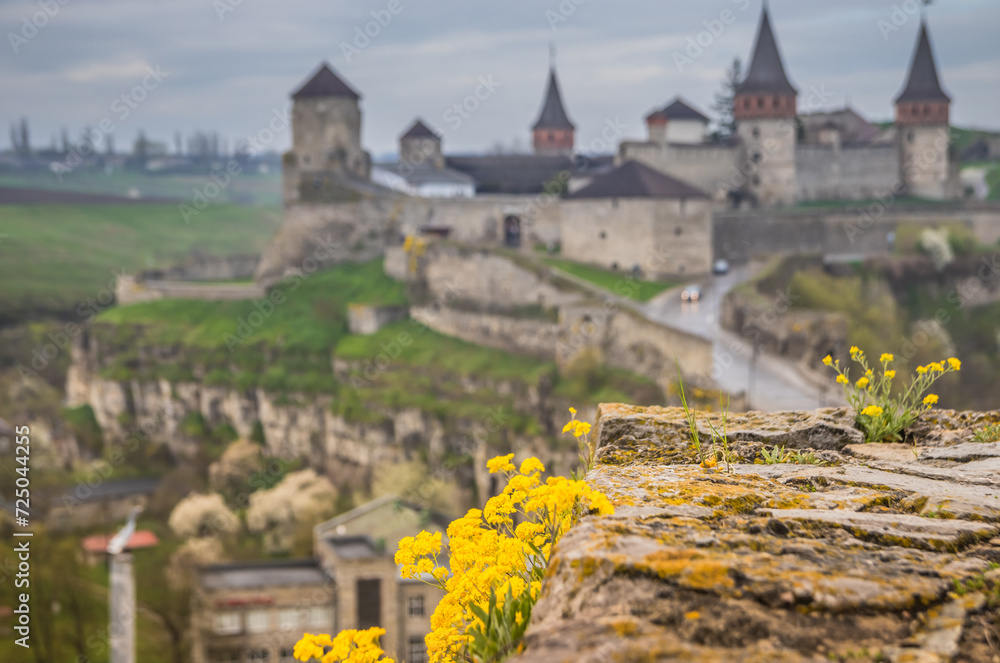 Old Kamianets-Podilskyi Castle under a cloudy grey sky. The fortress located among the picturesque nature in the historic city of Kamianets-Podilskyi, Ukraine