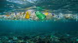 Plastic waste in the sea, environmental problem