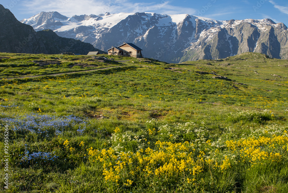refuge alpin au milieu de la prairie fleurie sur le plateau d'Emparis dans les Alpes au printemps dans le massif des Arves dans l'Oisans face au massif des Écrins, La Meije