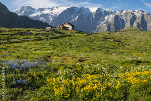 refuge alpin au milieu de la prairie fleurie sur le plateau d'Emparis dans les Alpes au printemps dans le massif des Arves dans l'Oisans face au massif des Écrins, La Meije photo