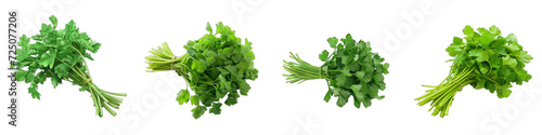 A Bunch Of Fresh Fragrant Salad burnet Hyperrealistic Highly Detailed Isolated On Transparent Background Png File White Background Photo Realistic Image photo