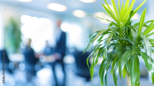 Indoor green plant in sharp focus with a blurred office backdrop