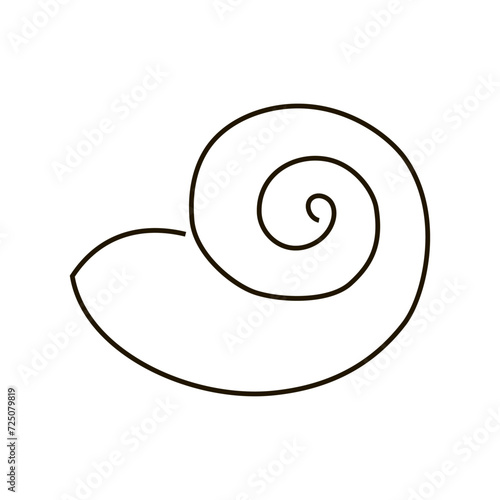 Shell drawn in line style. Nautical illustration. Shell drawn by line. Vector illustration isolated on white background