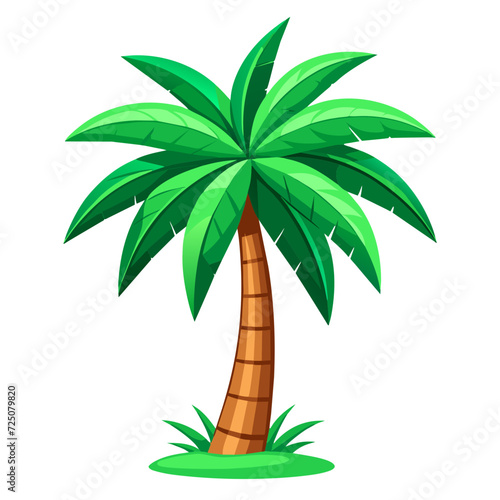 palm tree illustration