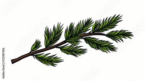 seamless background with coniferous branches pattern  coniferous  fir  