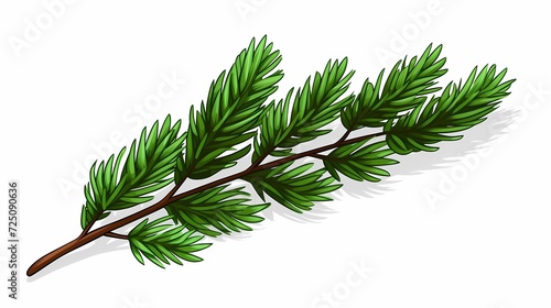 seamless background with coniferous branches pattern  coniferous  fir  