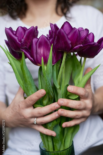 Purple tulips in hands natural on white t-shirt spring flowers warm background