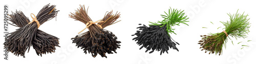 A Bunch Of Fresh Fragrant black caraway Hyperrealistic Highly Detailed Isolated On Transparent Background Png File White Background Photo Realistic Image photo