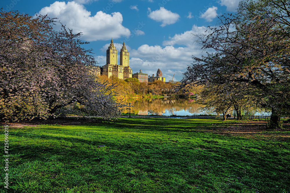 Central Park in spring, early orning
