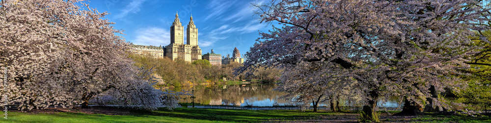 Obraz premium Central Park, New York City at the lake