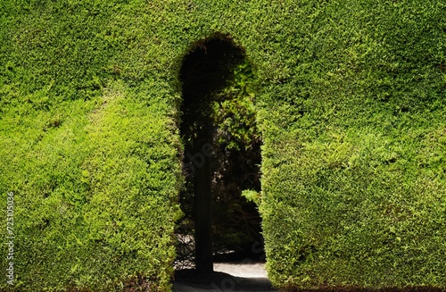 entrance of garden maze