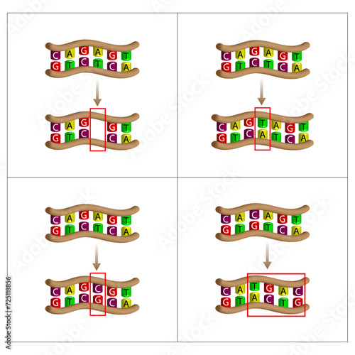 Point mutation, error during DNA replication. Deletion, Insertion, Inversion, Substitution Scientific design, Vector illustration. 