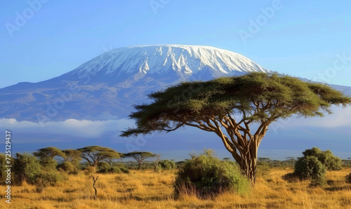 Snow on top of Mount Kilimanjaro in Tanzania
 photo