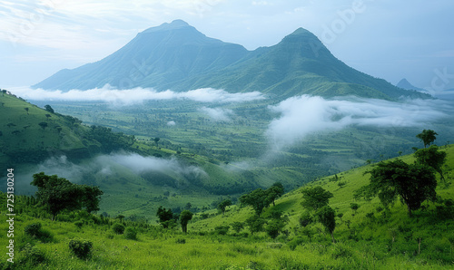 View of the forests surrounding Lango Bai. Odzala-Kokoua National Park. Cuvette-Ouest Region. Republic of the Congo. (Congo Brazzaville).