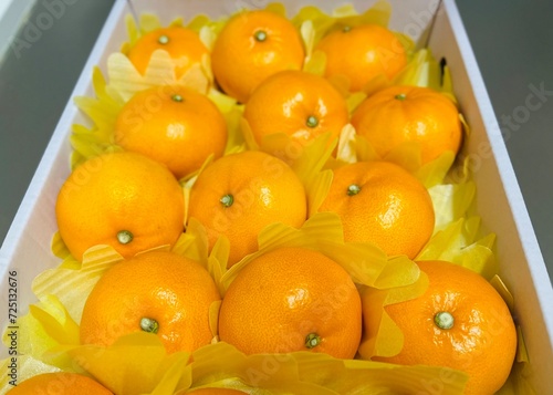 Cheonhyehyang Jeju orange setoka citrus