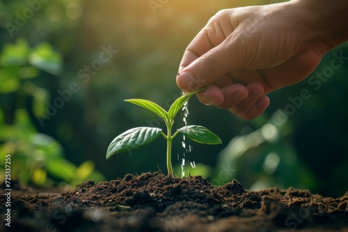 A hand irrigates a seedling with water. Background with selective focus and copy space photo