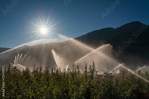 Irrigation system on an apple orchard, sun star, summer, Vinschgau Valley, South Tyrol, Italy, Europe photo